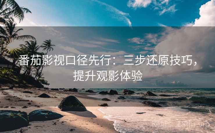 番茄影视口径先行：三步还原技巧，提升观影体验