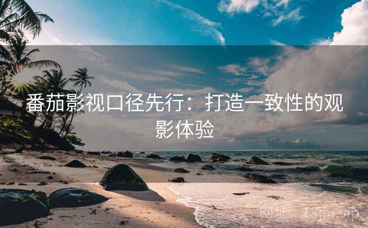 番茄影视口径先行:打造一致性的观影体验